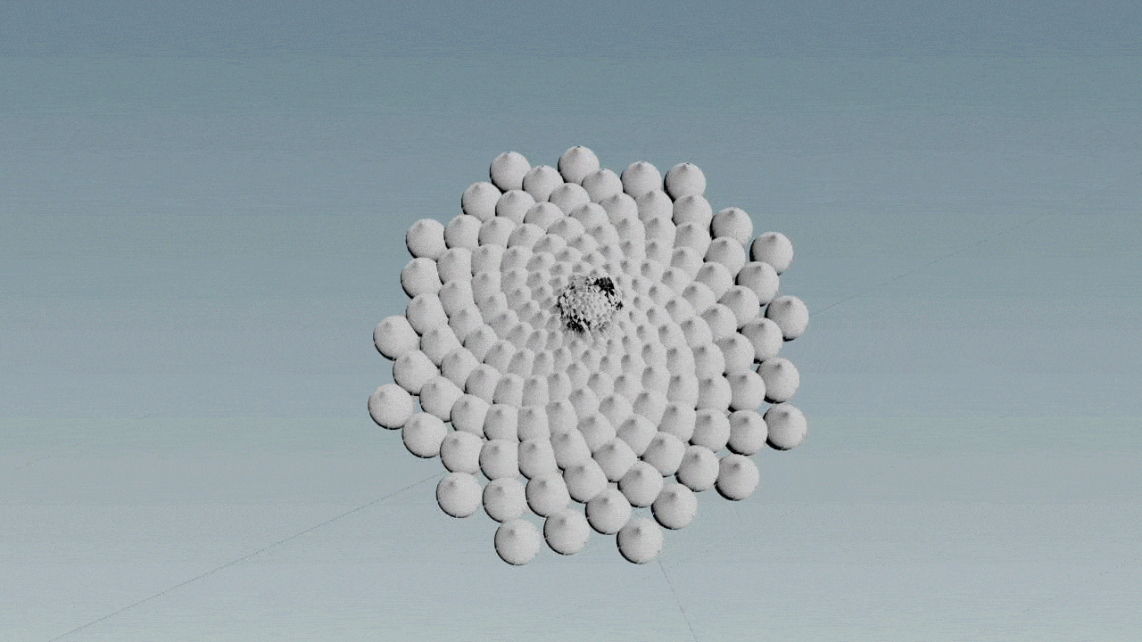 Phyllotaxis placement